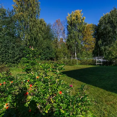 Arctic - Peaceful Near Center Rovaniemi